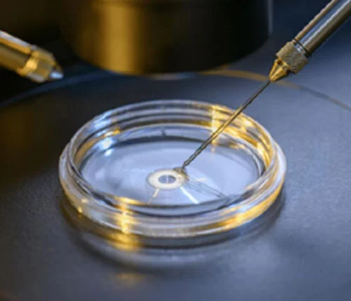 IVF embryology — a single embryo under the microscope